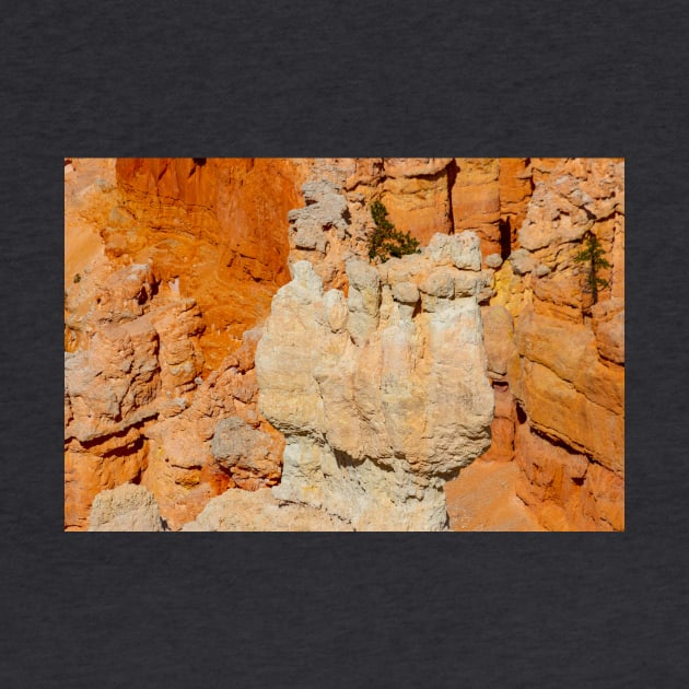 Bryce Canyon View 15 by Rob Johnson Photography